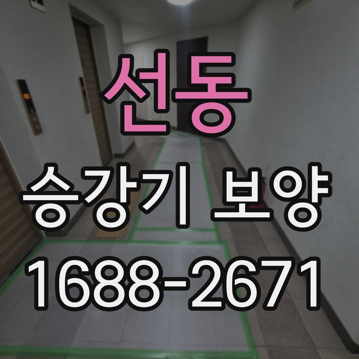 선동 승강기 보양 품질 확인을 위한 현장 점검