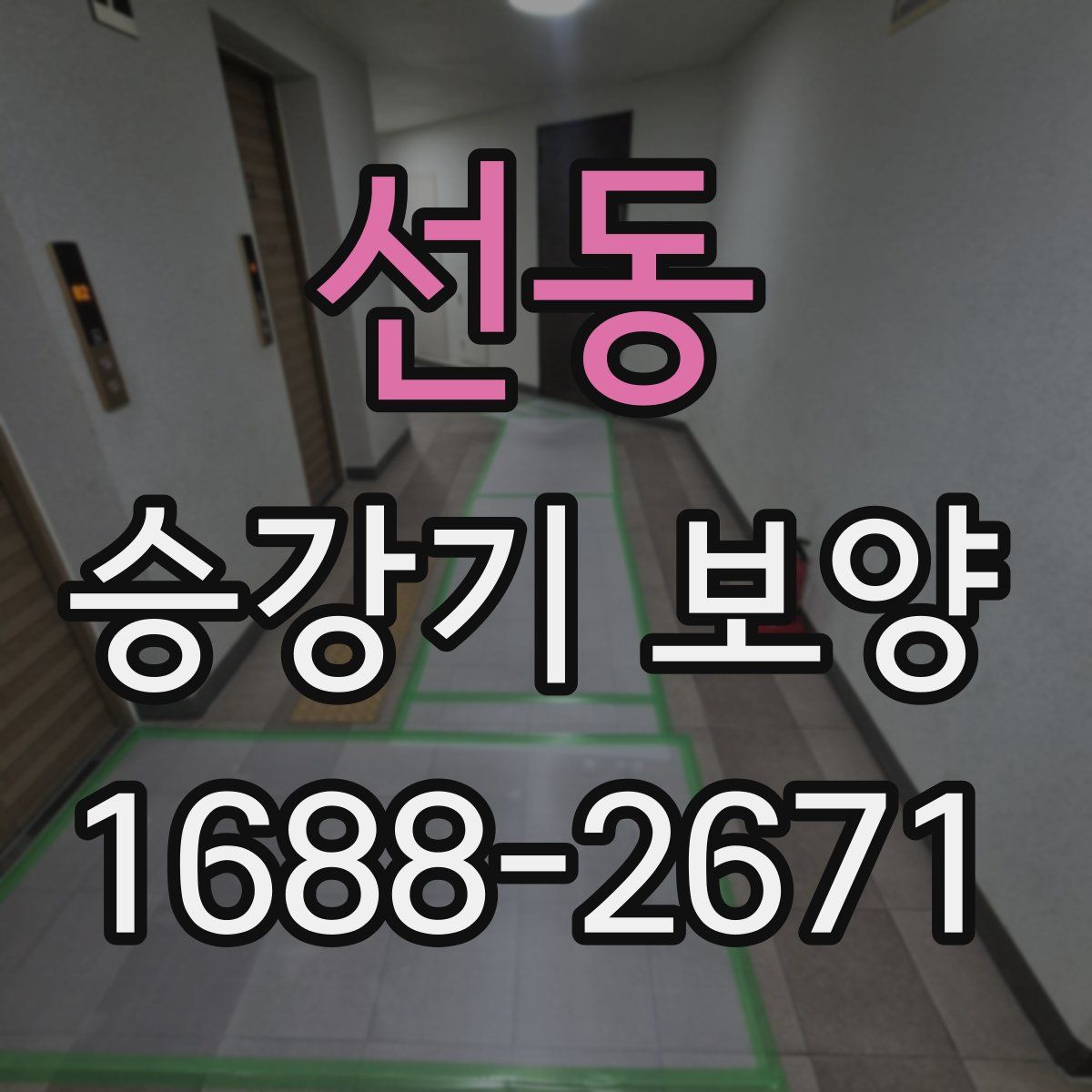선동 승강기 보양