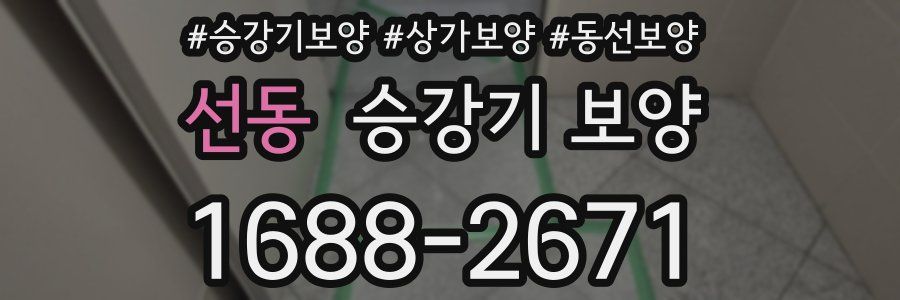 선동 승강기 보양