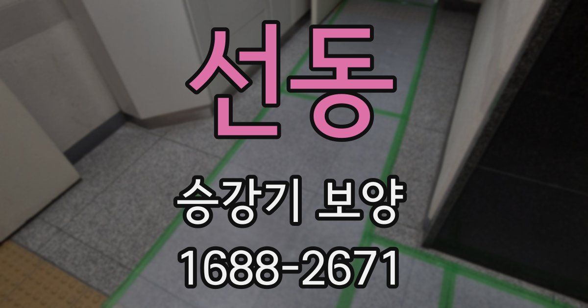선동 승강기 보양