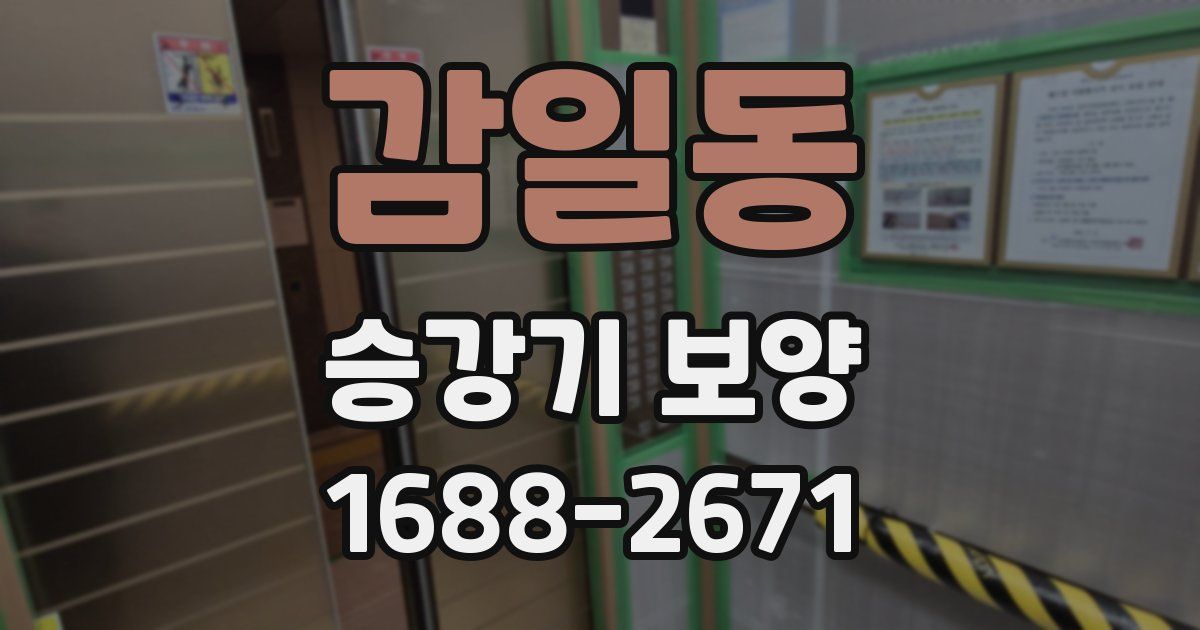 감일동 승강기 보양