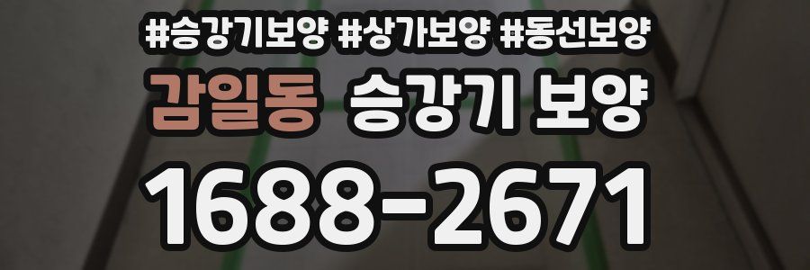 감일동 승강기 보양