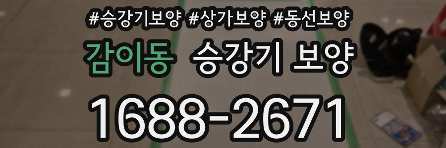 감이동 승강기 보양
