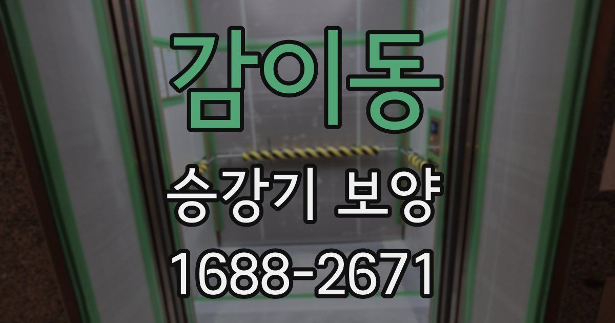 감이동 승강기 보양