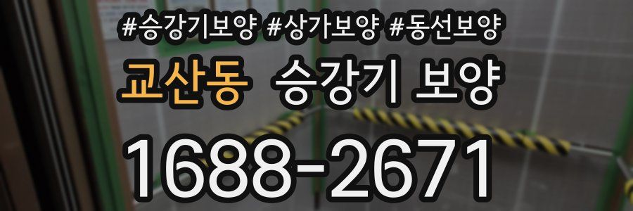 교산동 승강기 보양