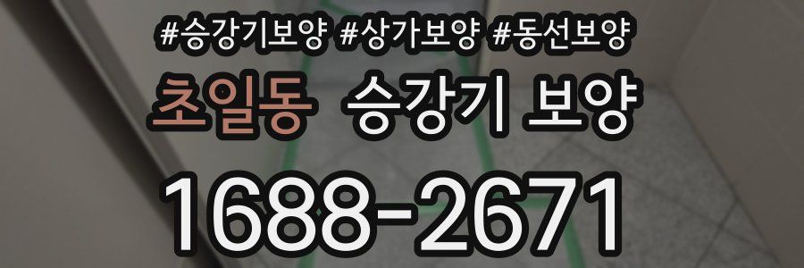 초일동 승강기 보양