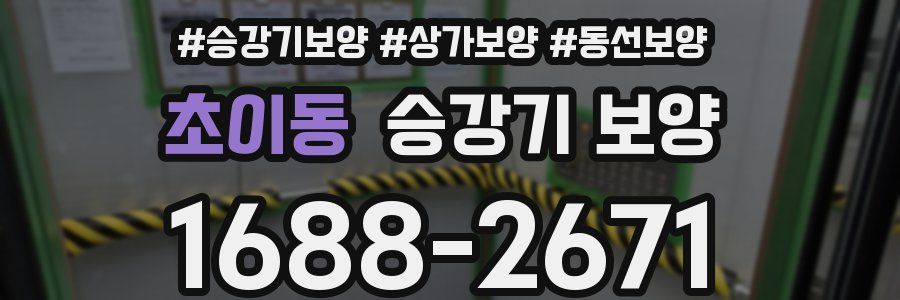 초이동 승강기 보양
