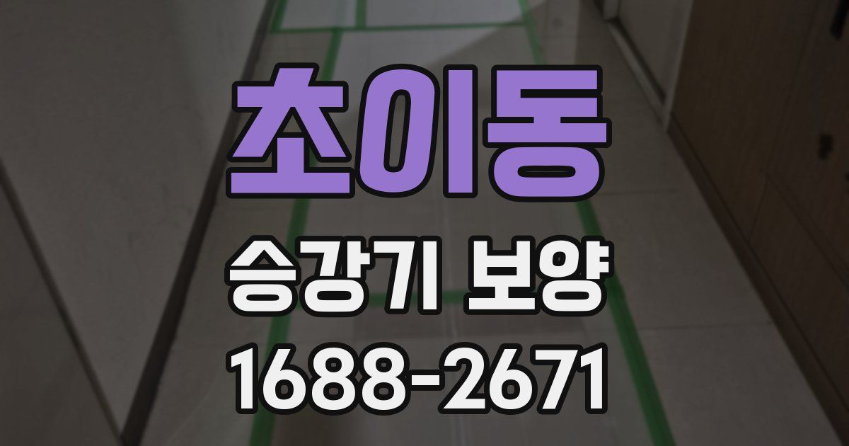 초이동 승강기 보양