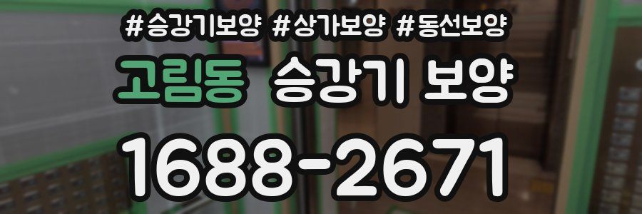 고림동 승강기 보양
