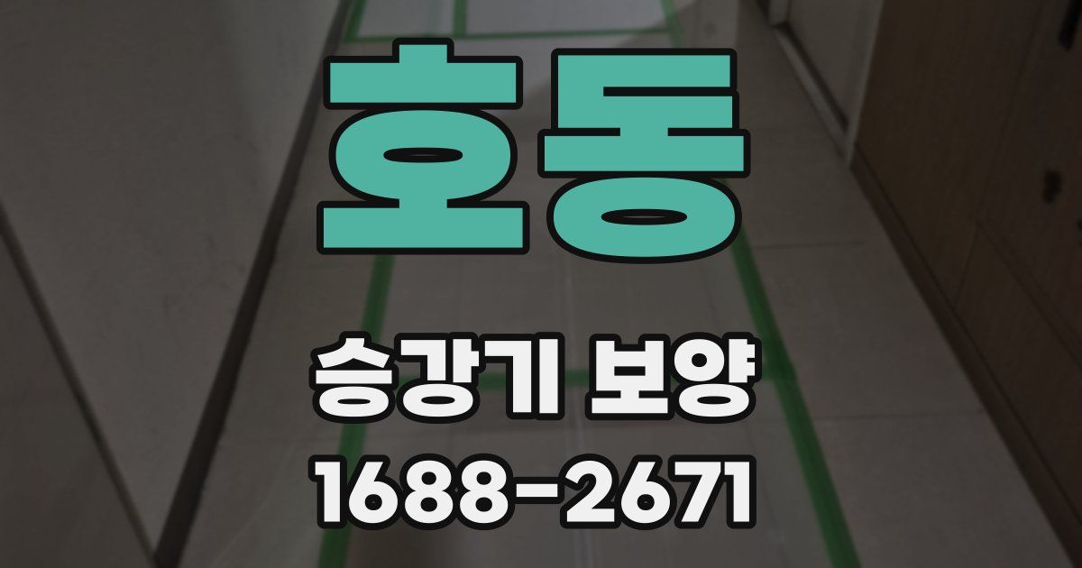 호동 승강기 보양
