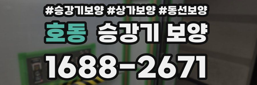 호동 승강기 보양