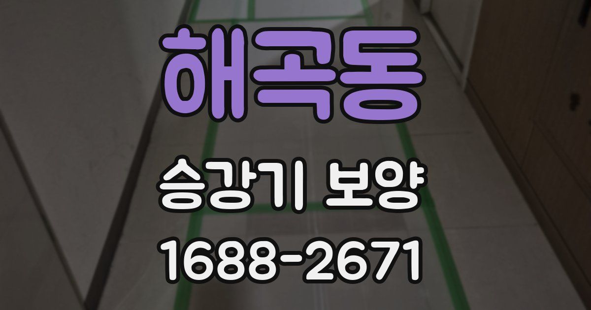 해곡동 승강기 보양
