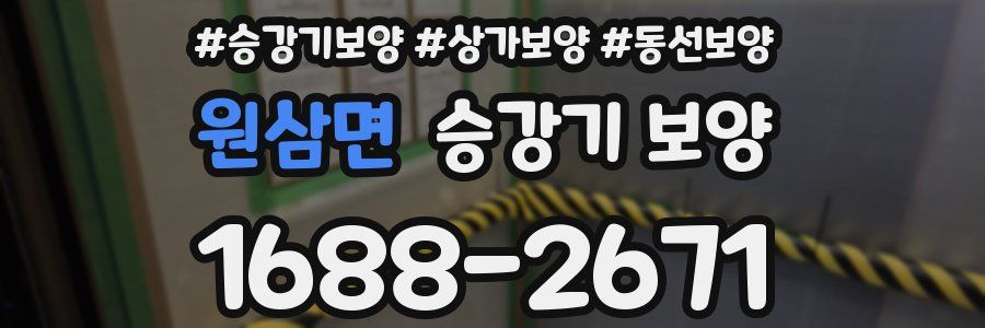 원삼면 승강기 보양