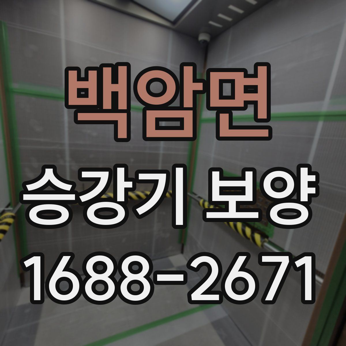 백암면 승강기 보양