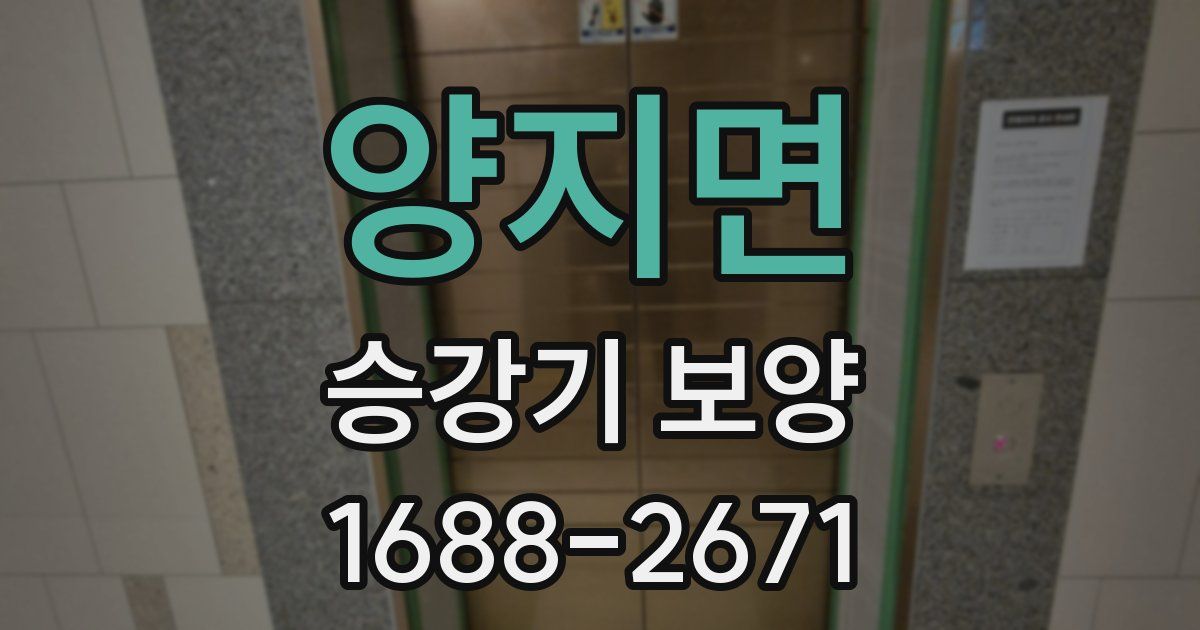 양지면 승강기 보양