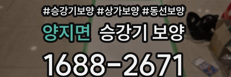양지면 승강기 보양