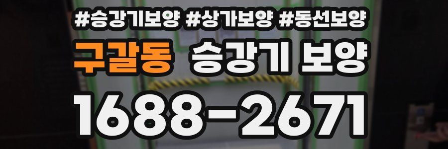 구갈동 승강기 보양