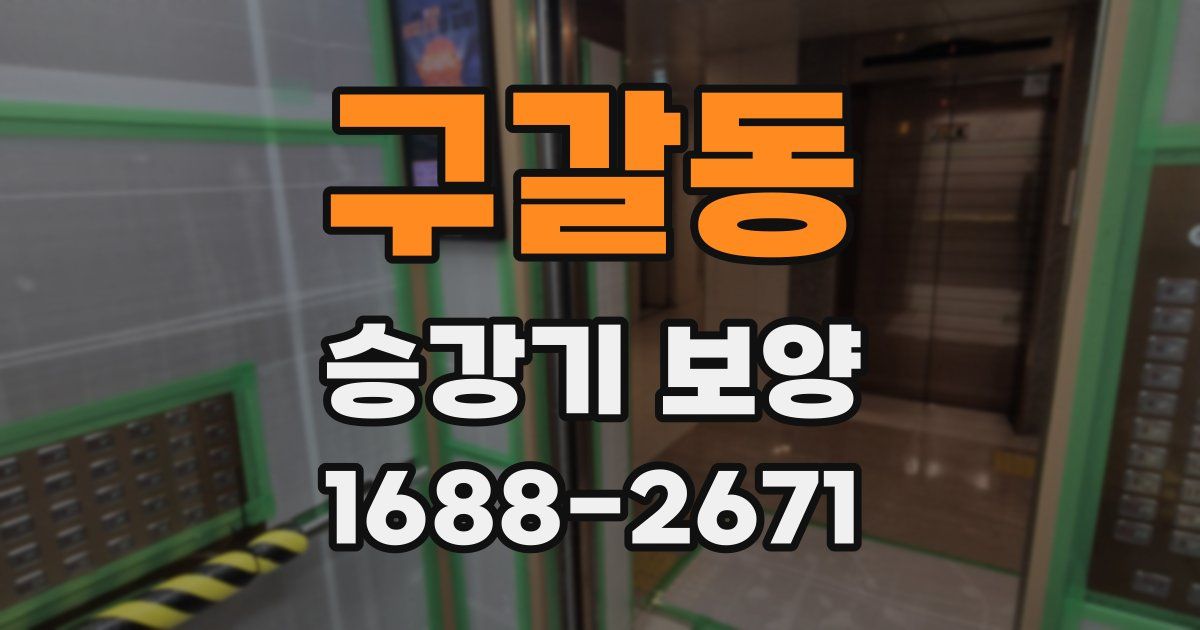 구갈동 승강기 보양
