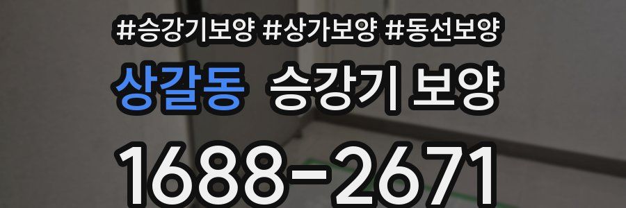 상갈동 승강기 보양
