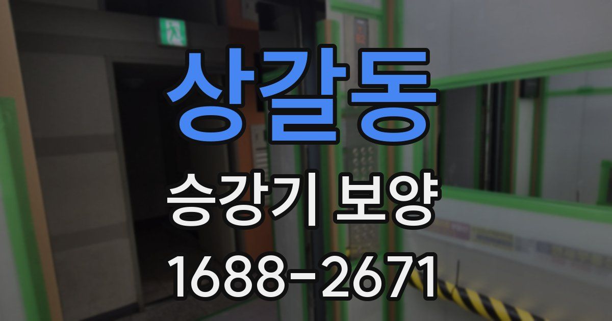 상갈동 승강기 보양