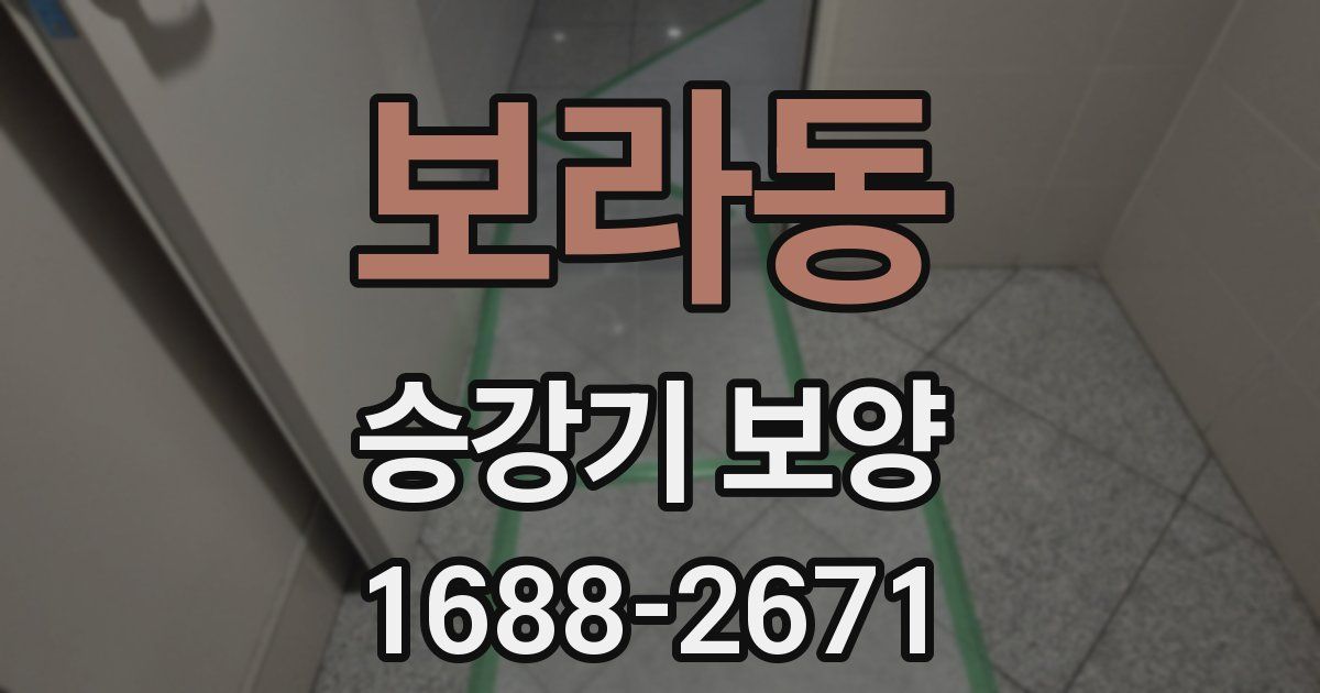 보라동 승강기 보양