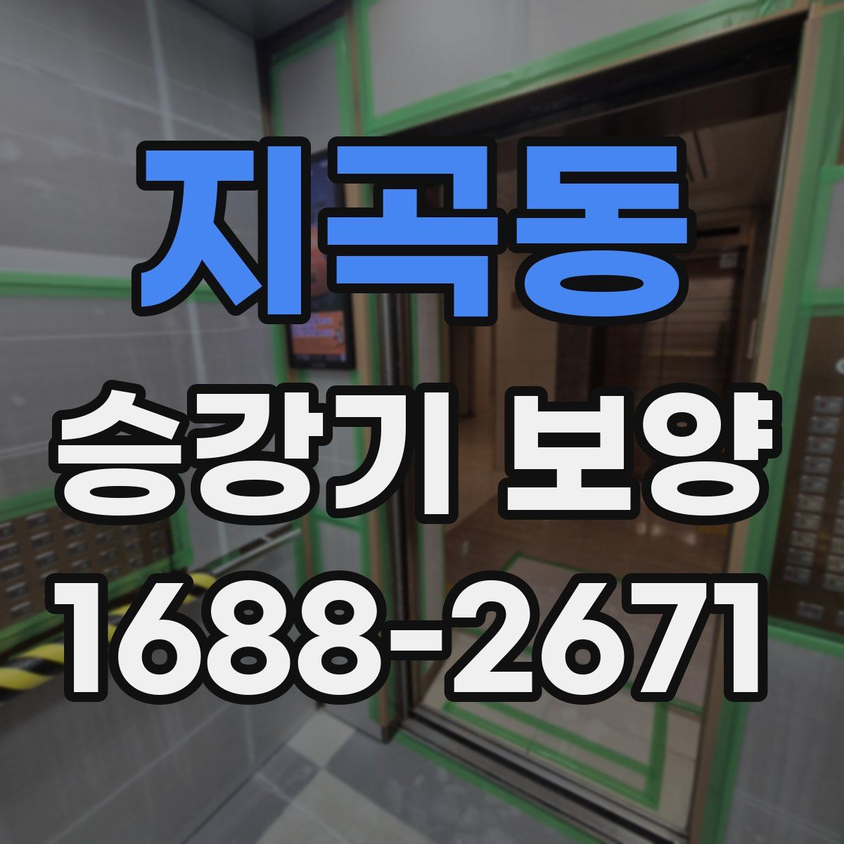 지곡동 승강기 보양