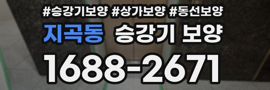 지곡동 승강기 보양