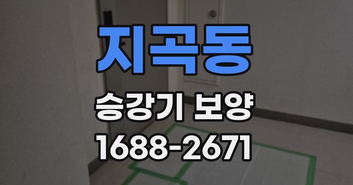 지곡동 승강기 보양