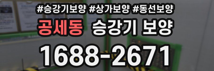 공세동 승강기 보양