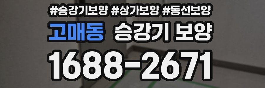 고매동 승강기 보양