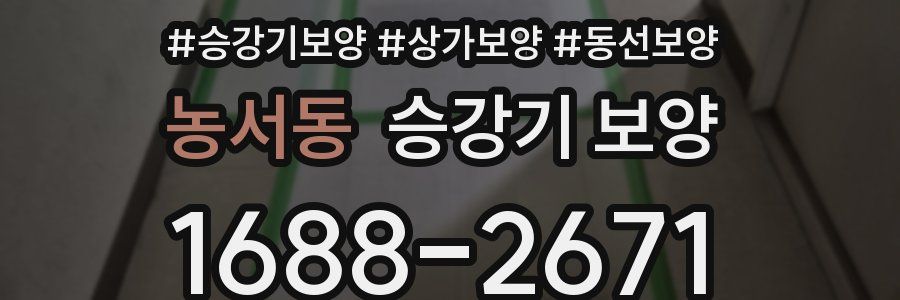 농서동 승강기 보양