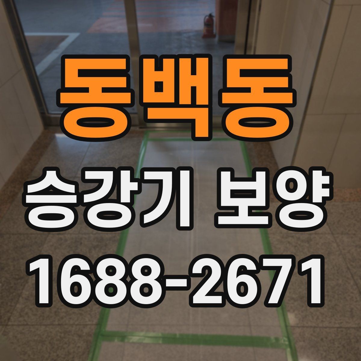 동백동 승강기 보양 업체를 비교할 때 보는 기준