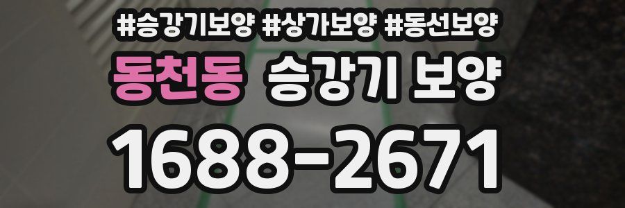 동천동 승강기 보양