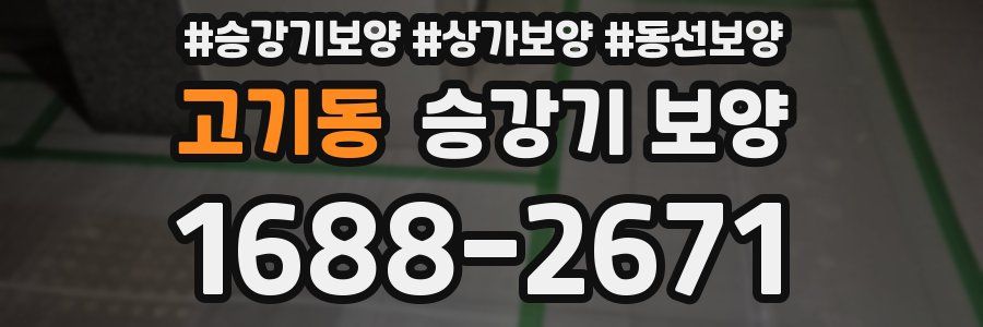 고기동 승강기 보양