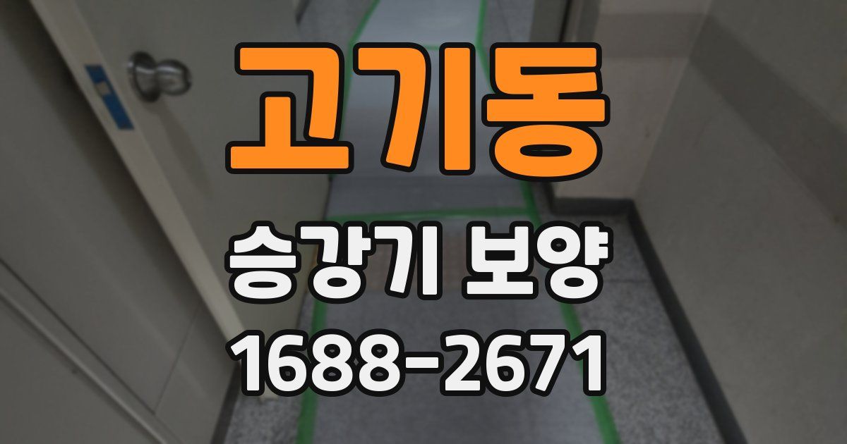 고기동 승강기 보양