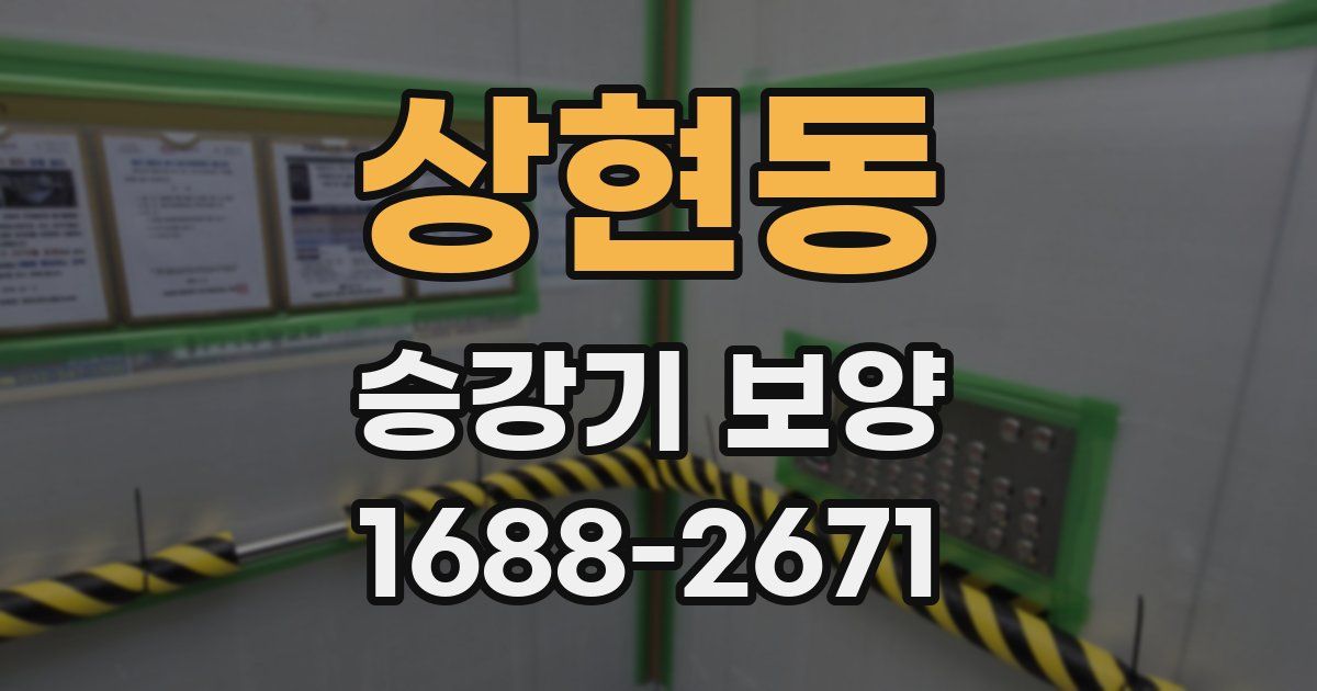 상현동 승강기 보양