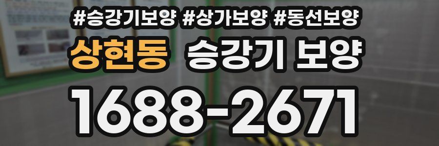 상현동 승강기 보양