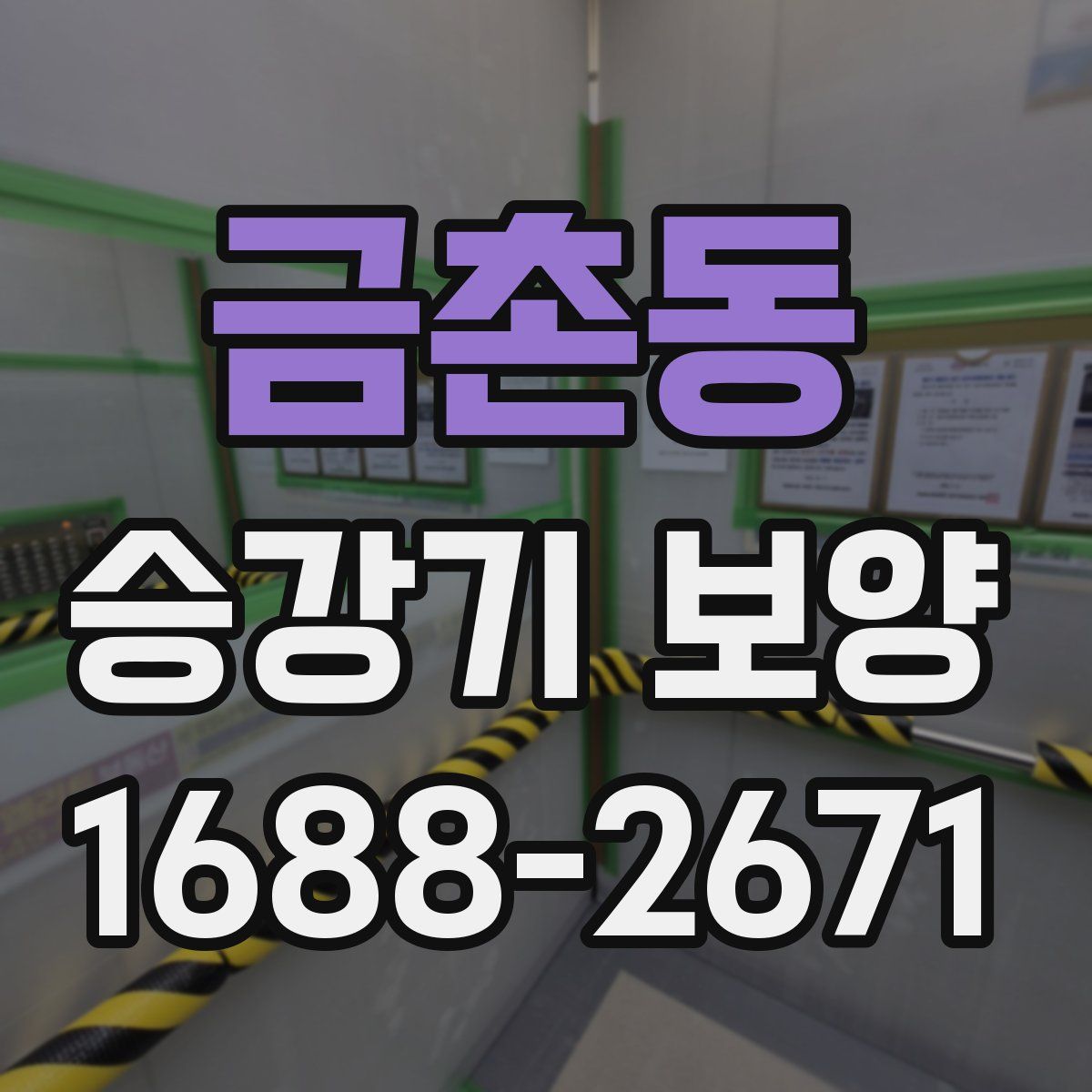 금촌동 승강기 보양