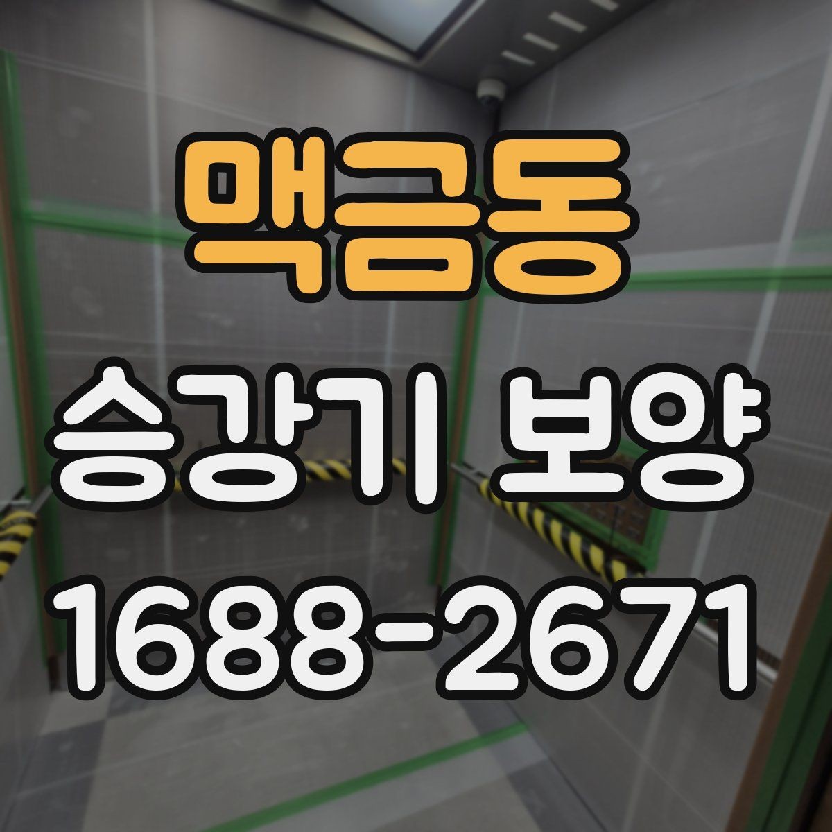 맥금동 승강기 보양 품질 확인을 위한 현장 점검