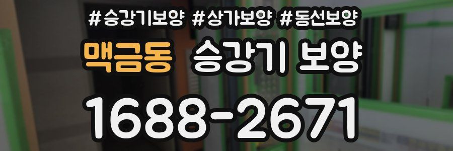 맥금동 승강기 보양