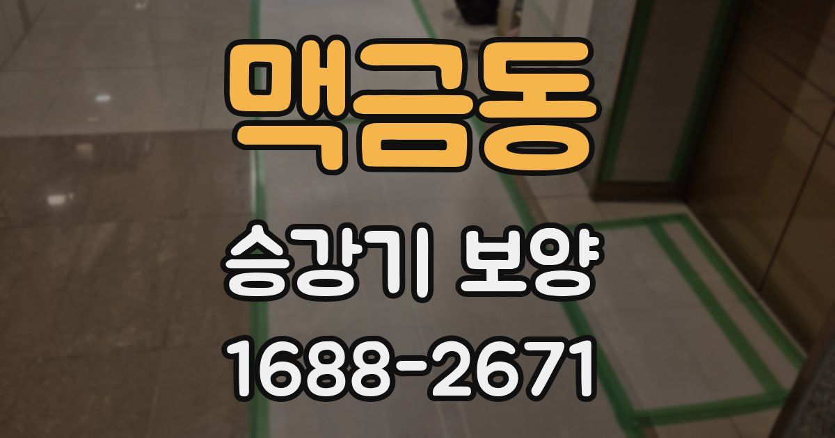 맥금동 승강기 보양