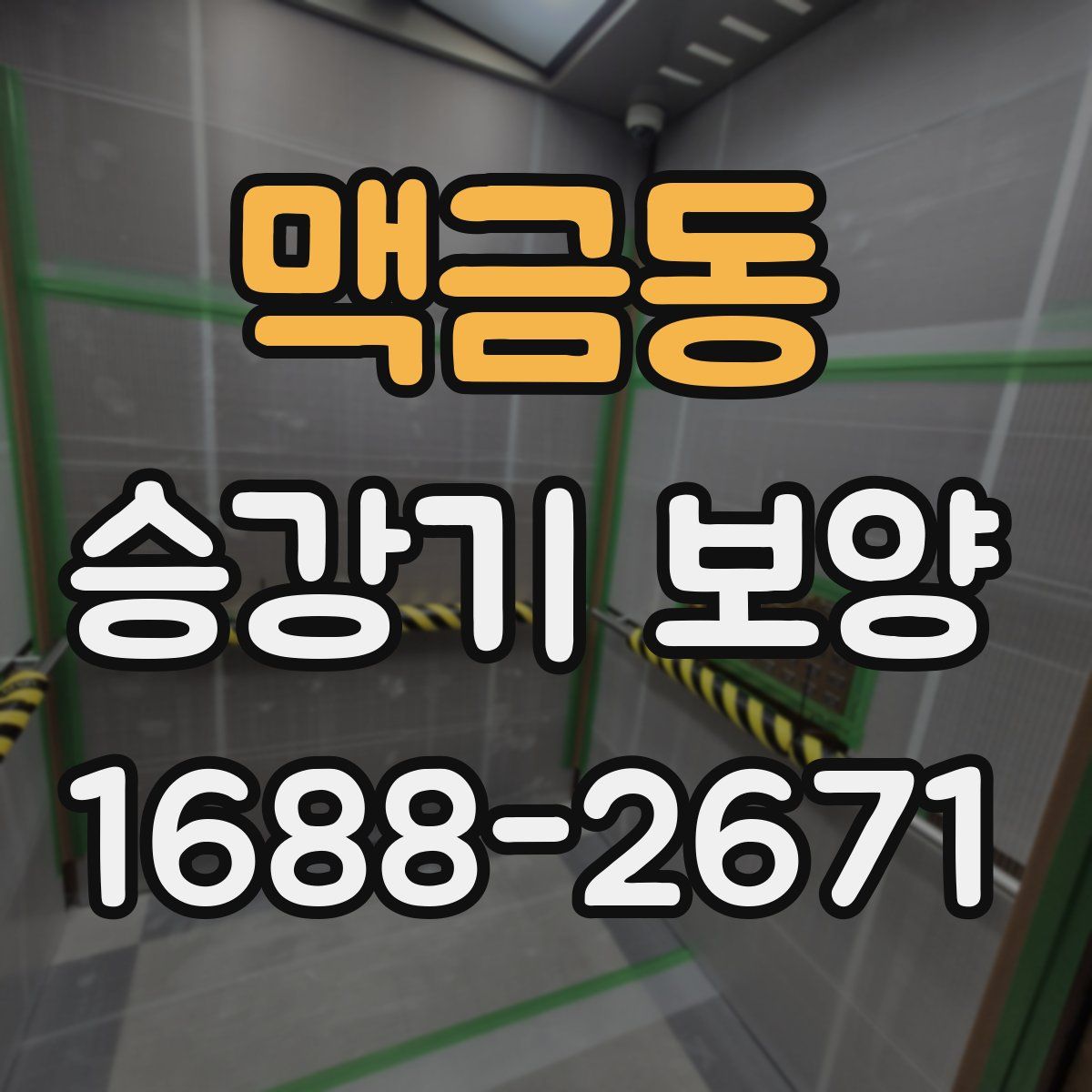 맥금동 승강기 보양