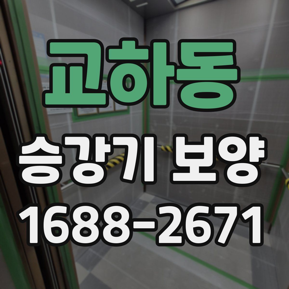 교하동 승강기 보양