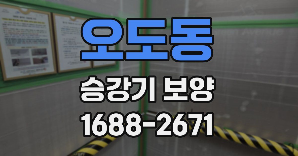 오도동 승강기 보양