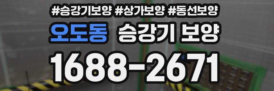 오도동 승강기 보양