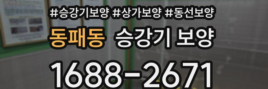 동패동 승강기 보양