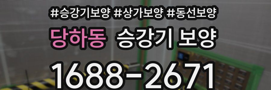 당하동 승강기 보양