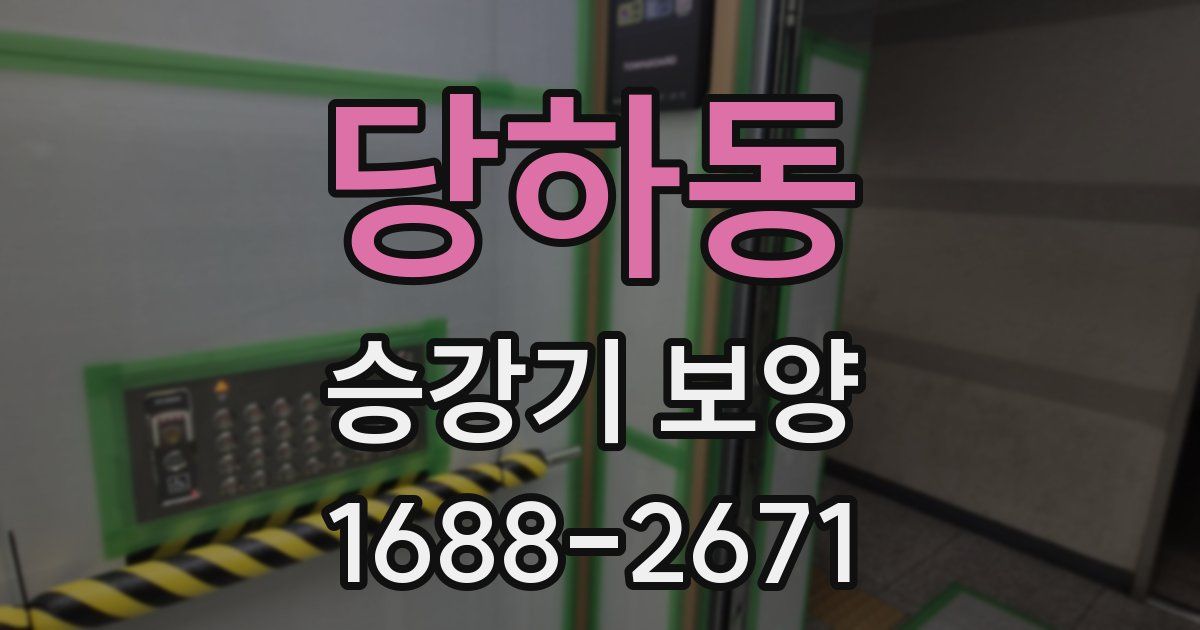 당하동 승강기 보양