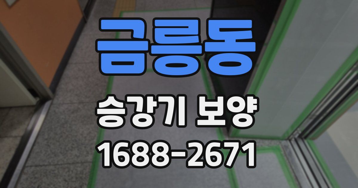 금릉동 승강기 보양