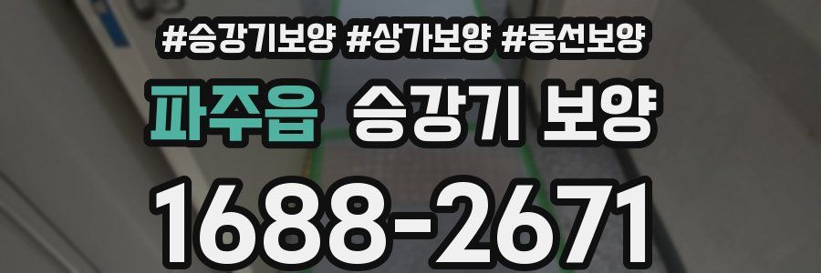 파주읍 승강기 보양